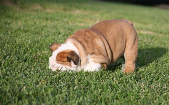 Kolumna : A kada ćeš se udati ?