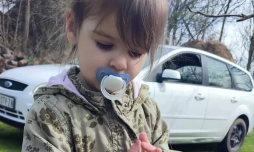 Šesti dan potrage: Nestanak Danke Ilić još uvijek obavijen misterijem