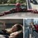 Filmski spektakl ‘Spiderman: Put bez povratka’ 27. travnja na Novoj TV