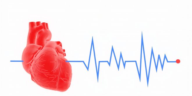 Koji je posao aritmologa?