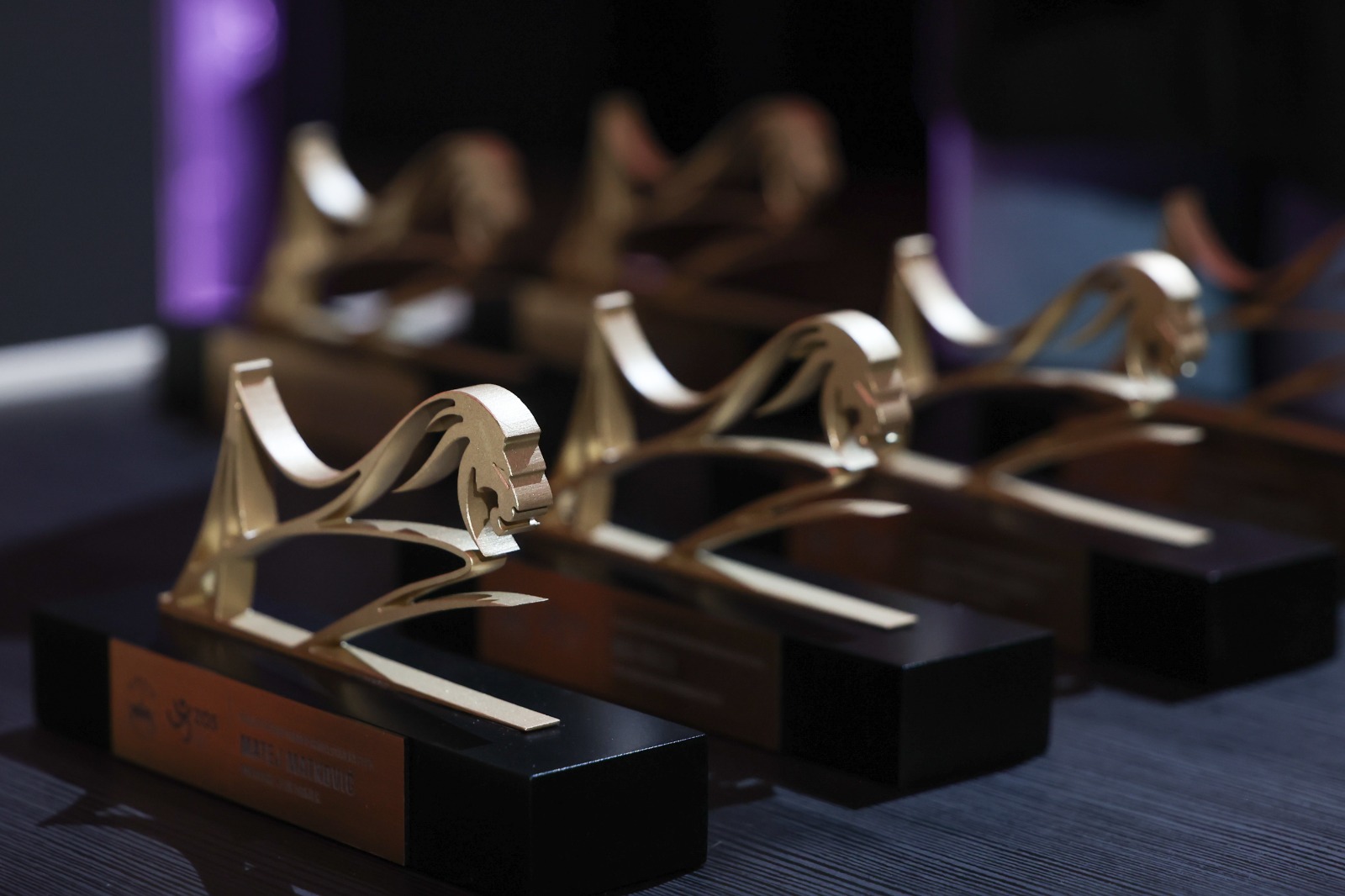 Nagrada Grada Osijeka najboljim sportašima dobila novo ruho: najboljima dodijeljen „Osječki lav“