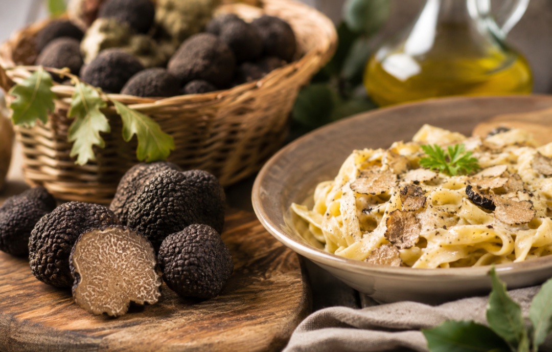 Tartufi – skriveno blago šuma i gastronomski dragulj Hrvatske