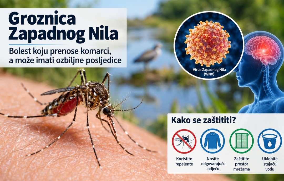 Groznica Zapadnog Nila: Bolest koju prenose komarci, a može imati ozbiljne posljedice