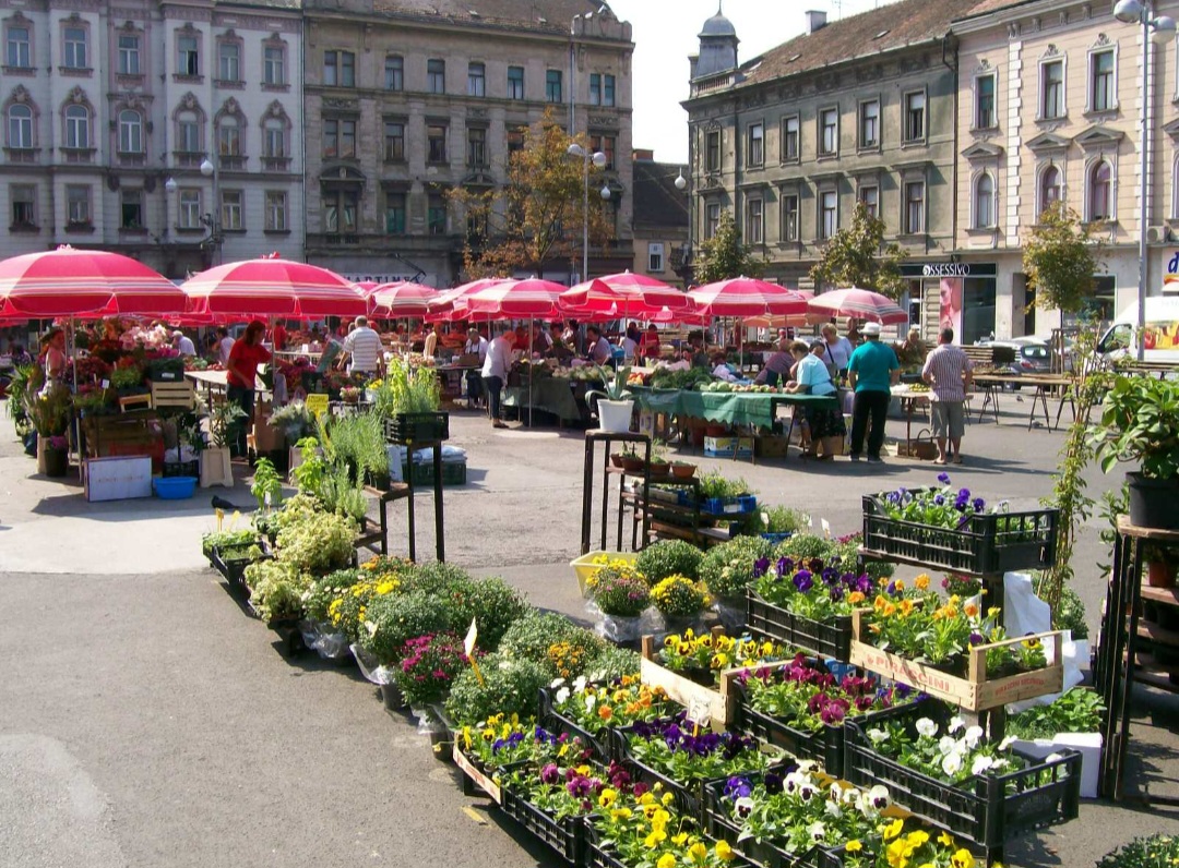 Britanski trg tijekom tri dana postaje mjesto susreta ljubitelja biljaka, kreativnosti, održivosti i urbanog vrtlarstva